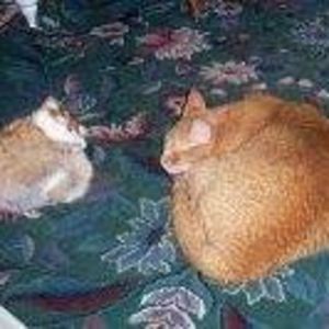 Meet your Posher, Sheila